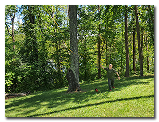 deploying a wire antenna