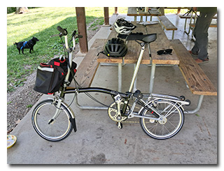 A folding bicycle