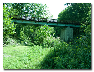 Raccon Creek Bridge