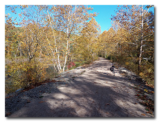 Along the Moonville Rail Trail