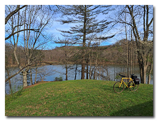 a lake viewed through trees