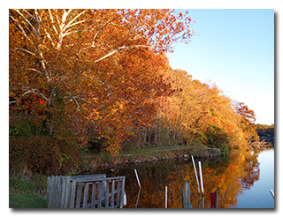 Lake Logan