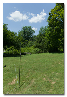 Tom's antenna