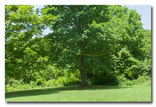 Eric's antenna and mast
