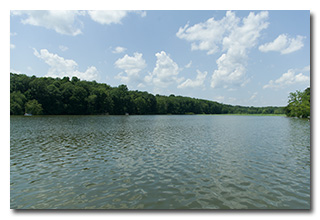Lake Logan