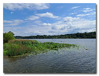 Lake Logan