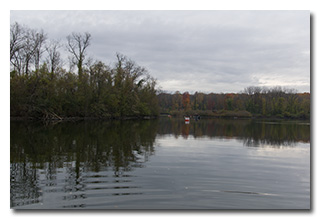 looking across Latham Bay