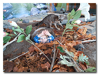 young boy peers out from a bubble in a diorama