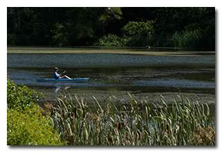 A kayaker