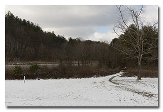 snow-covered ground