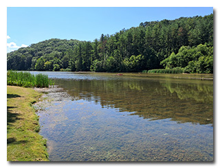 Dow Lake