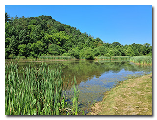 Dow Lake