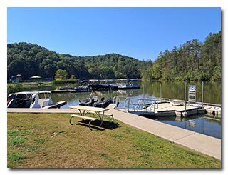 the marina