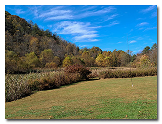 Eric's mast and antenna