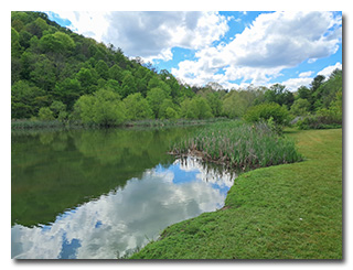 Dow Lake