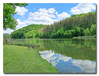 Dow Lake
