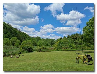 Eric's mast and antenna