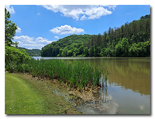 Dow Lake