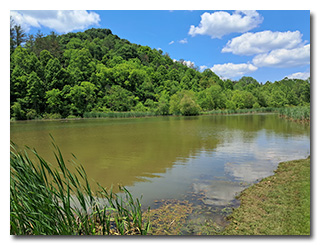 Dow Lake