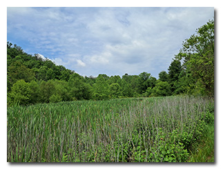 Dow Lake