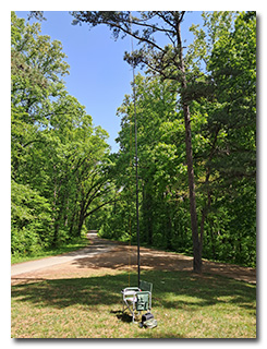 Eric's mast and antenna