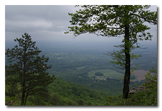 a view from an overlook