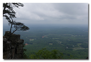 a view from an overlook