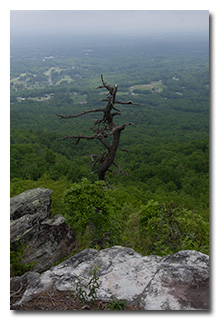 a view from an overlook