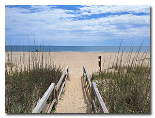 the beach