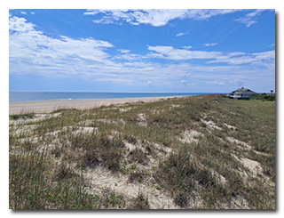 the beach