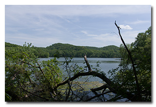 Radnor Lake