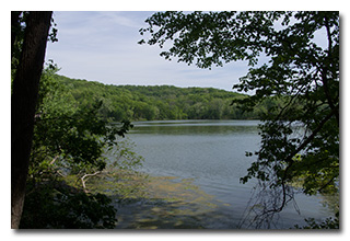 Radnor Lake
