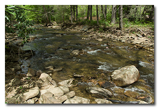 Camp Creek