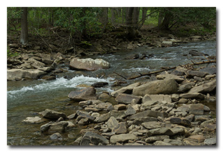 Camp Creek