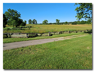 split-rail fencing