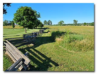 split-rail fencing