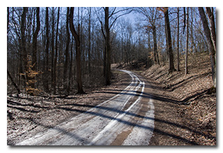 Bolster Hollow Road