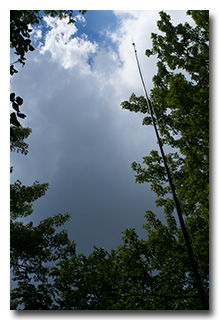 A view up the antenna--click to enlarge